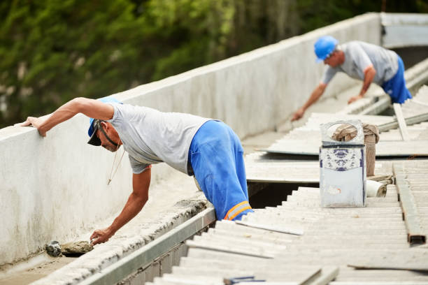 Best Insulation Installation Services in Blue Grass, IA