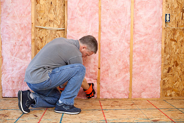 Best Insulation for Specific Applications in Blue Grass, IA