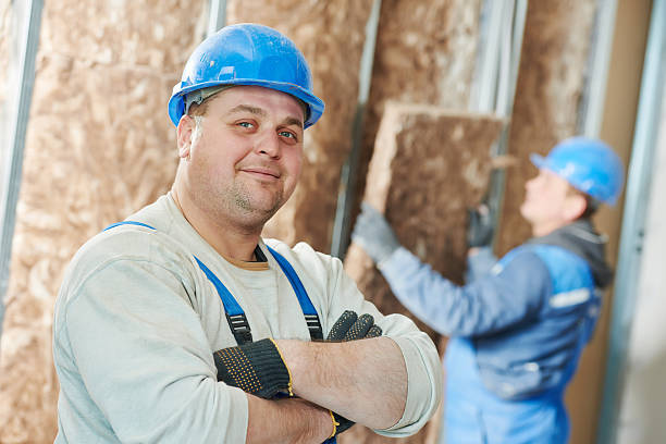 Best Energy Efficiency Solutions in Blue Grass, IA