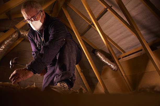 Best Insulation for Specific Applications in Blue Grass, IA